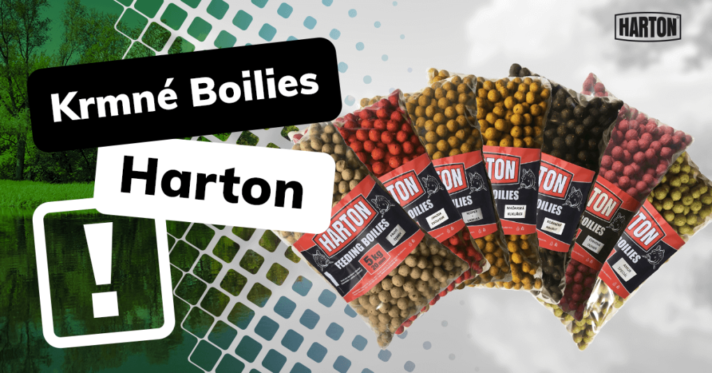 Boilies Harton