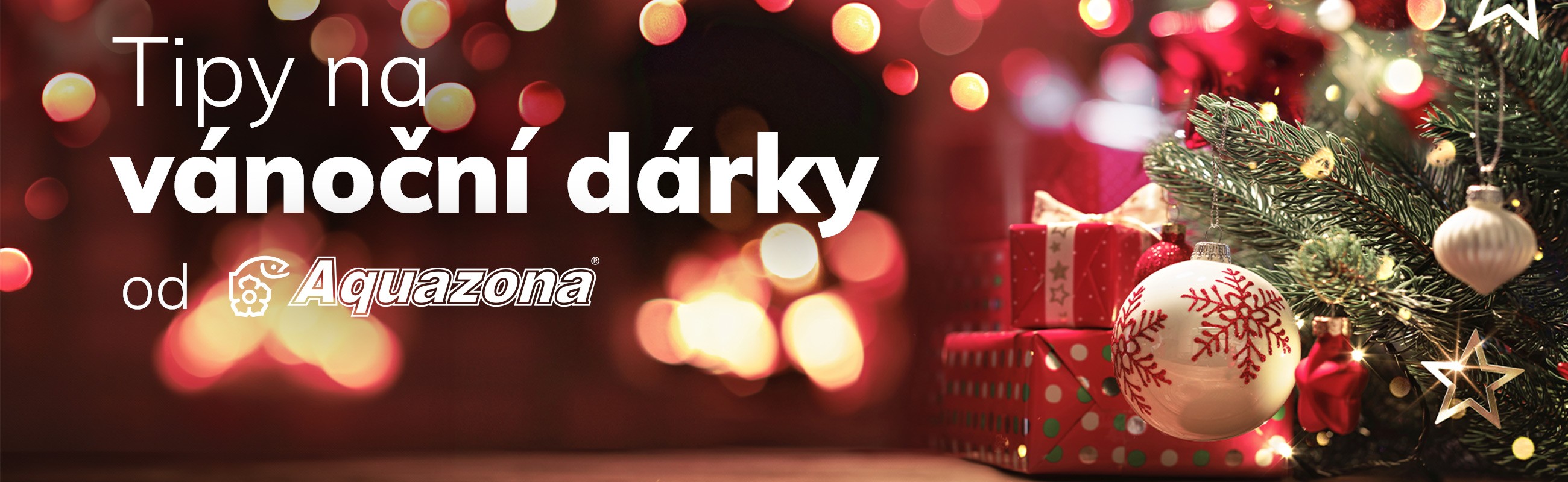 Tipy na vánoční dárky