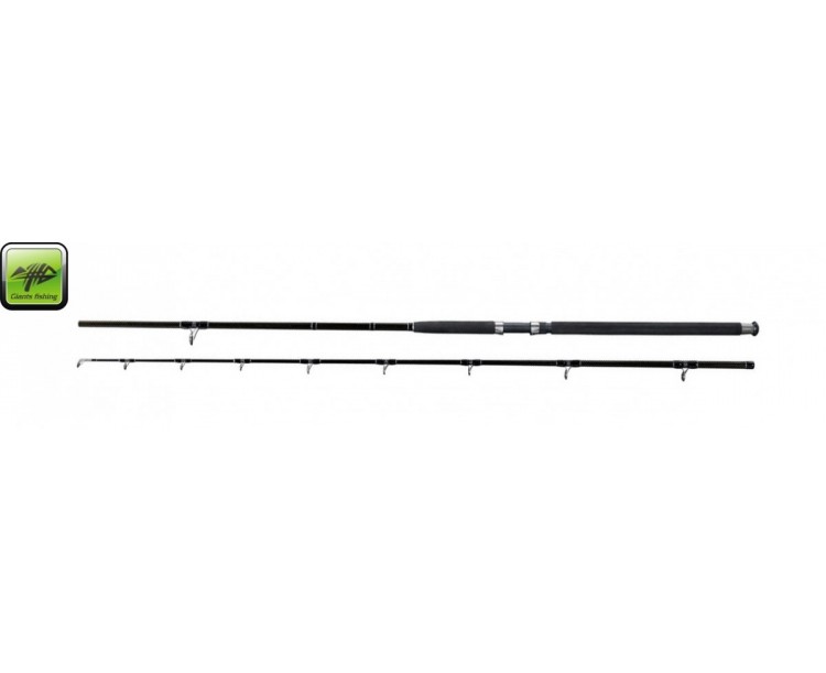 Prut Deluxe Catfish 2,4m 400g