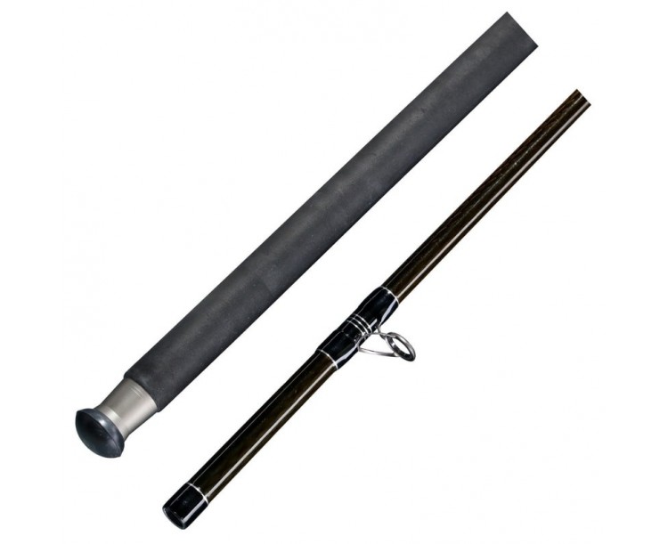 Prut Deluxe Catfish 2,9m 500g