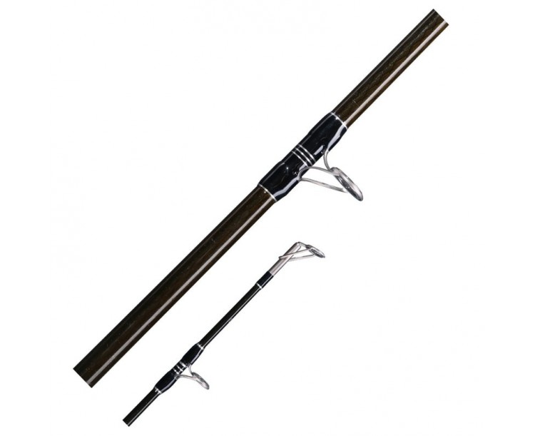 Prut Deluxe Catfish 2,9m 500g