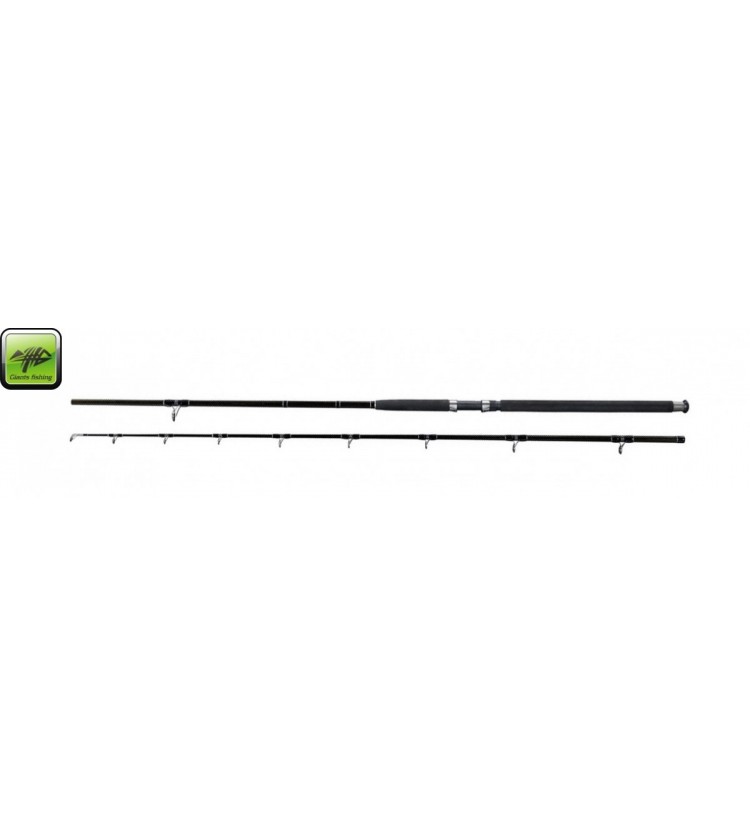 Prut Deluxe Catfish 2,4m 400g