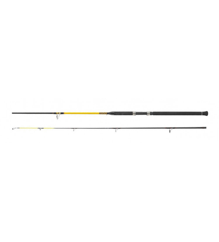 WFT Never Crack HEAVY Spin 2.10m 100-400g, 2díl