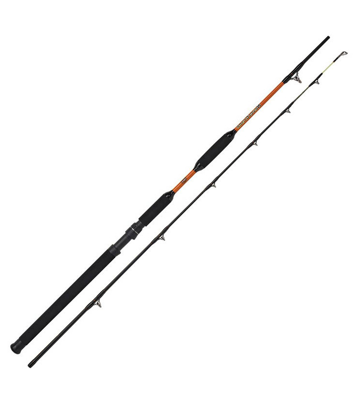 Prut WFT Never Crack Bank Cat 2,40m, 200-1000g
