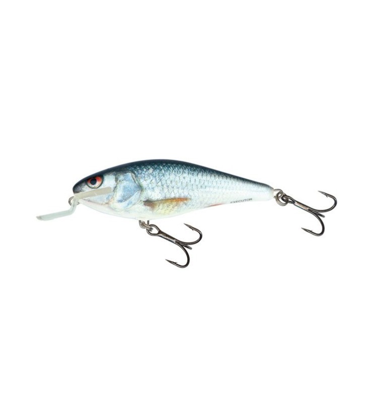 Salmo Wobler Executor Shallow Runner Real Dace 12 cm 33 g