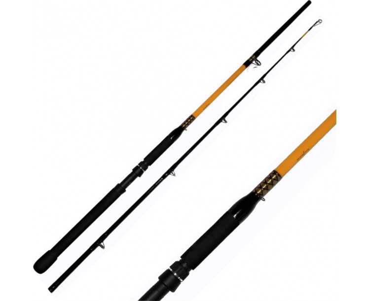 Prut WFT Never Crack Catfish Boat 3,0m, 250-1000g