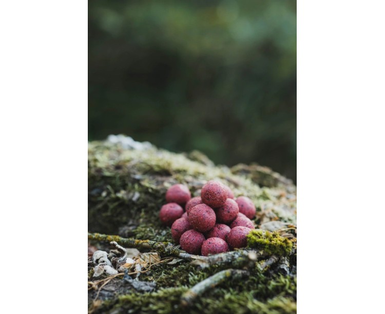 DK FISHING boilies power attract Jahoda 5kg