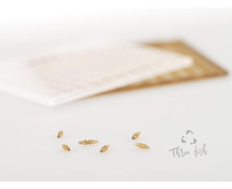 Zfish Zarážky Boilie Stops ZX 240 ks