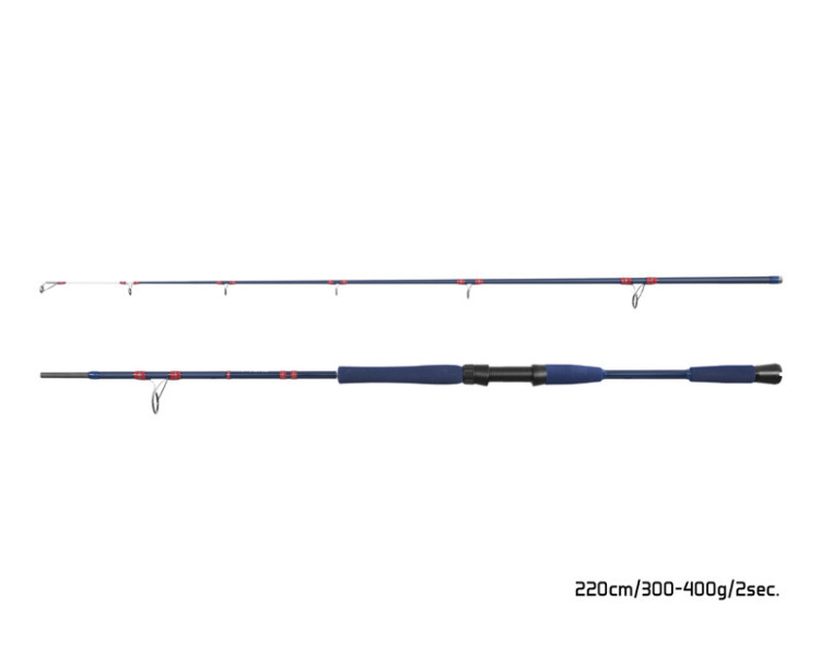 Delphin prut FYORD BigBOAT