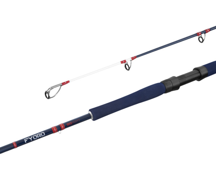 Delphin prut FYORD BigBOAT