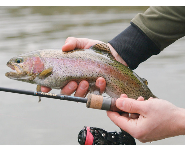 Delphin TROUTERA HardLure 210cm/2-7g/2 díly