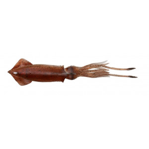 Savage Gear Gumová Nástraha 3D TPE Swim Squid Brown UV 25cm 110g