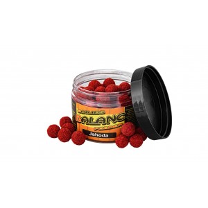 Carp Servis Boilies Balanc Feeder 80 g /12 mm / Jahoda