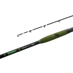 Delphin ENERGY Catfish 310cm 250-500g