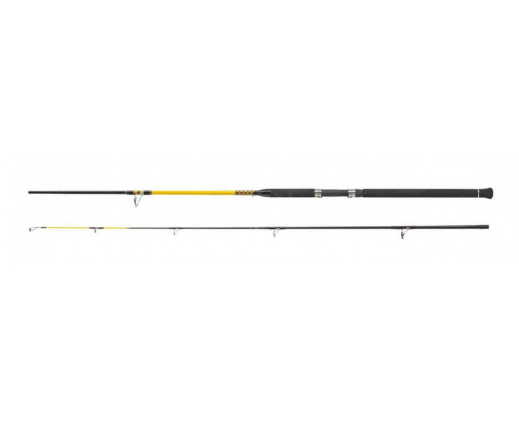 WFT Never Crack HEAVY Spin 2.10m 100-400g, 2díl