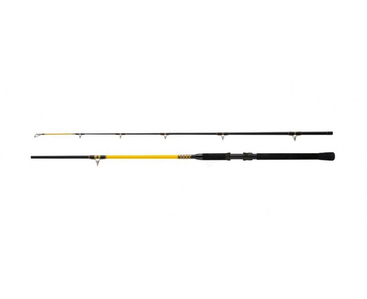 Prut WFT Never Crack Catfish Boat 2,40m, 250-1000g