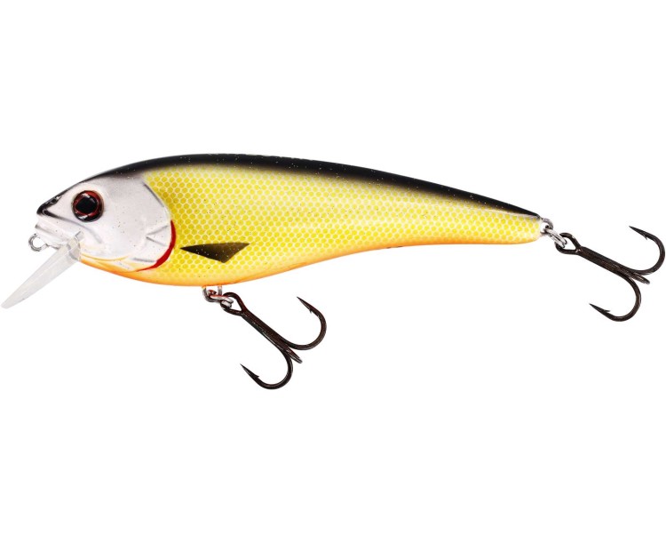 Westin wobler RawBite Crankbait Official Roach 15 cm 61 g