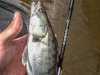 IMG_20180723_111033