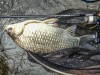 IMG_20180723_115005_1