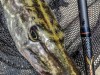 IMG_20180729_123511