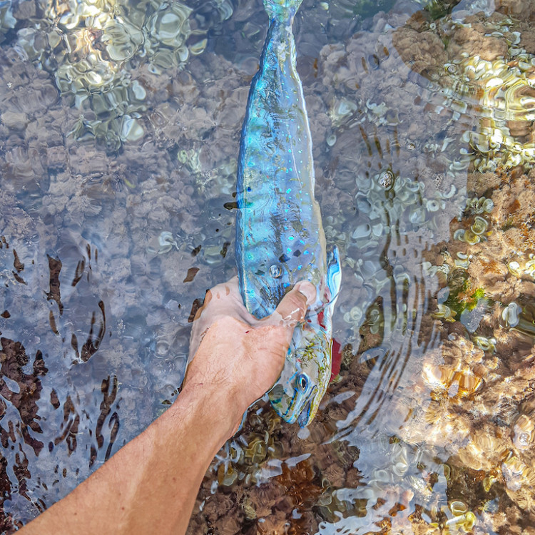 Aquazona – rybolov v chorvatsku